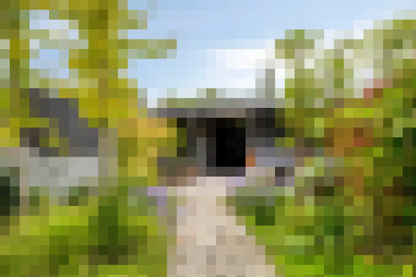 Huygenhoekring 237 Heerhugowaard thumbnail 4