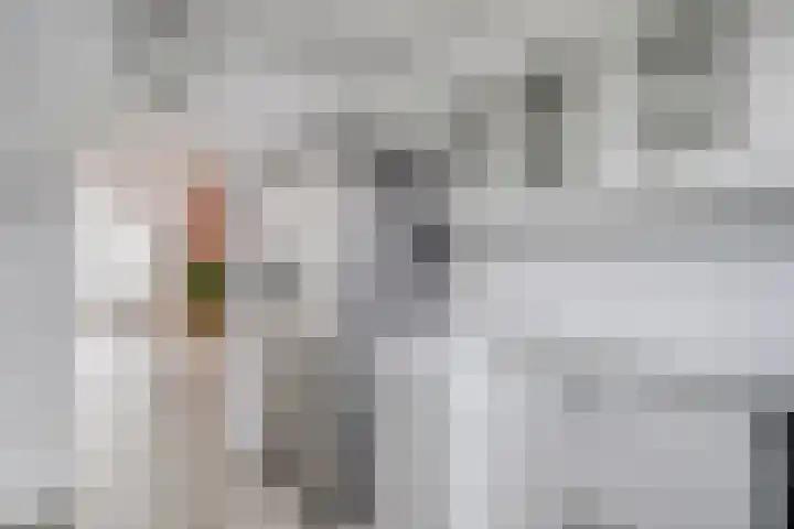 Huygenhoekring 3 Heerhugowaard thumbnail 14