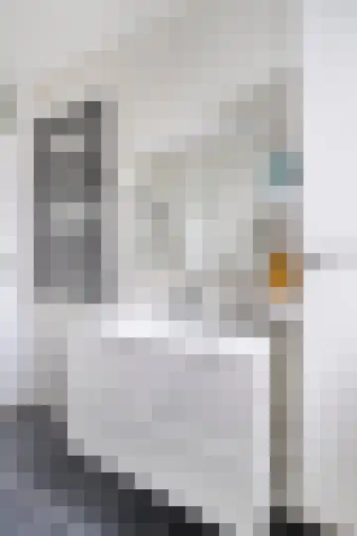 Huygenhoekring 3 Heerhugowaard thumbnail 25