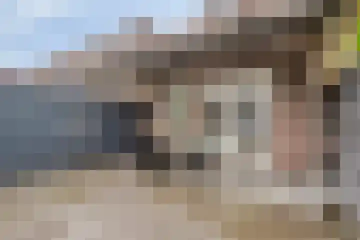Huygenhoekring 3 Heerhugowaard thumbnail 32
