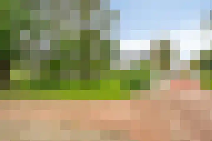 Huygenhoekring 3 Heerhugowaard thumbnail 36