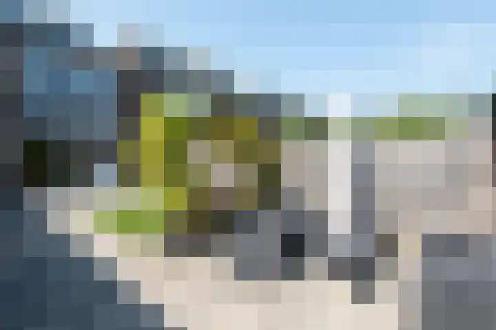 Huygenhoekring 70 Heerhugowaard thumbnail 42
