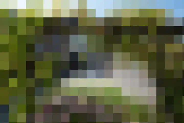Huygenhoekring 70 Heerhugowaard thumbnail 43