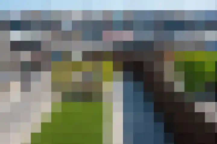 Huygenhoekring 70 Heerhugowaard thumbnail 45