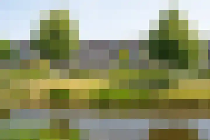Huygenhoekring 70 Heerhugowaard thumbnail 52