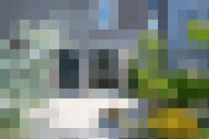 Huygenhoekring 70 Heerhugowaard thumbnail 6