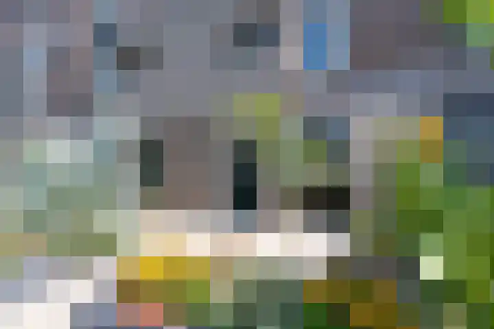 Huygenhoekring 70 Heerhugowaard thumbnail 7