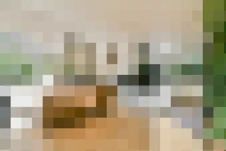 Huygensdreef 15 Leiderdorp thumbnail 12