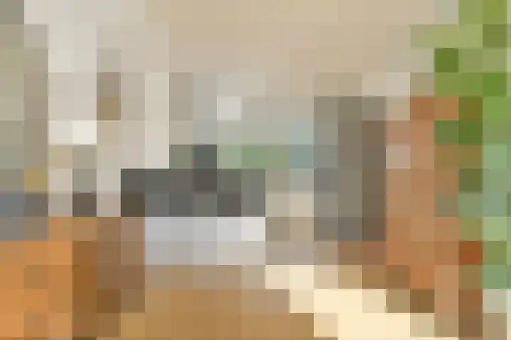 Huygensdreef 15 Leiderdorp thumbnail 13