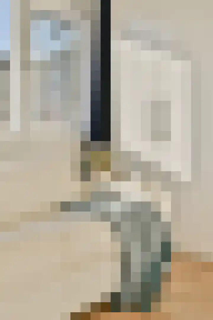 Huygensdreef 15 Leiderdorp thumbnail 25