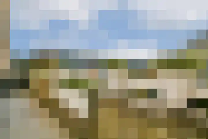 Huygensdreef 15 Leiderdorp thumbnail 26