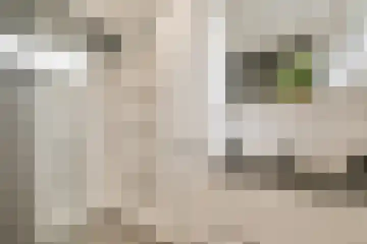 Huygensdreef 15 Leiderdorp thumbnail 29