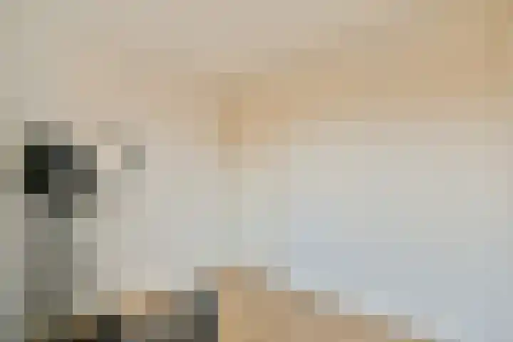 Huygensdreef 15 Leiderdorp thumbnail 33