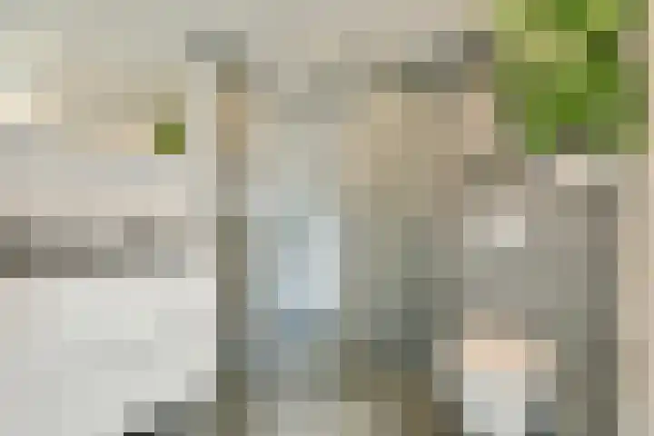 Huygensdreef 15 Leiderdorp thumbnail 38