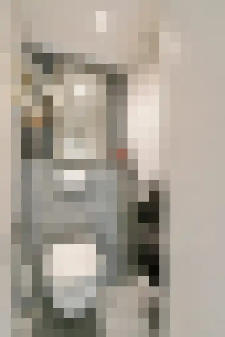 Huygensdreef 15 Leiderdorp thumbnail 5