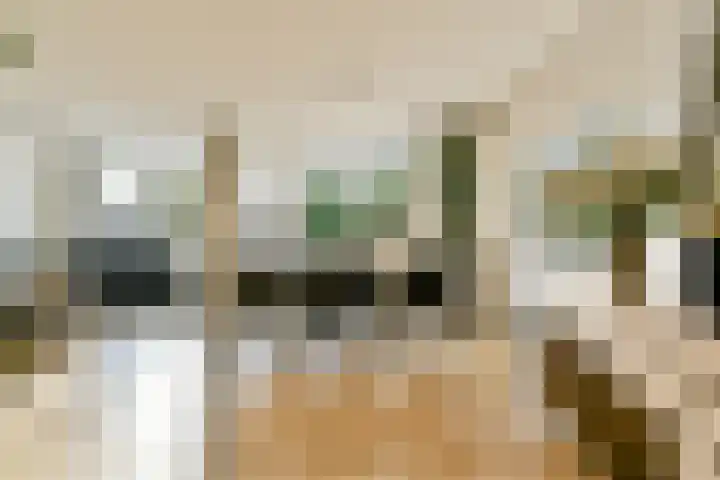 Huygensdreef 15 Leiderdorp thumbnail 6