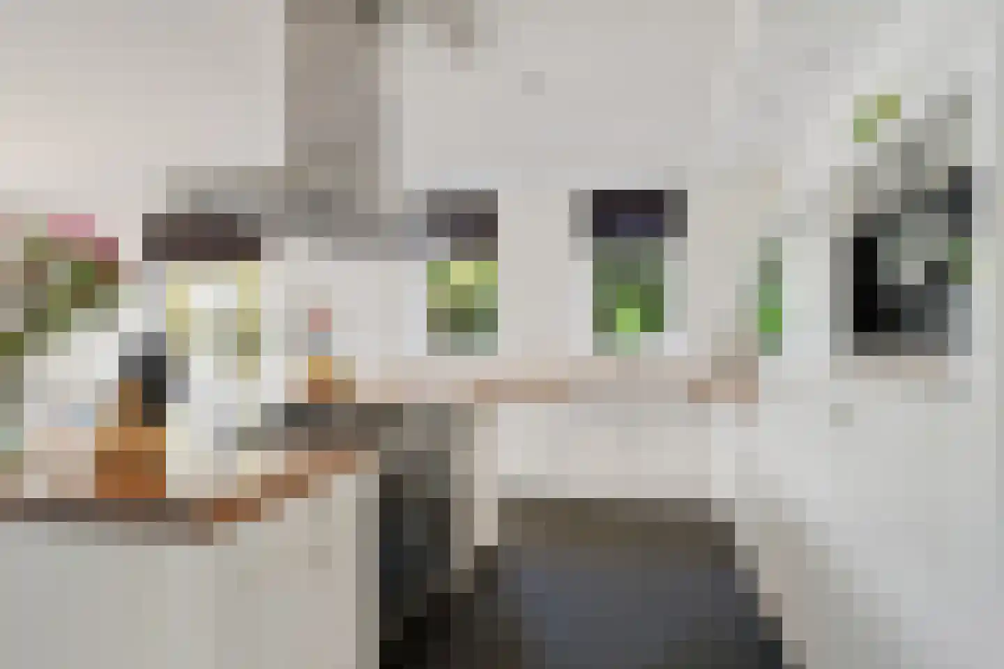 Huygenshage 4 Emmeloord thumbnail 20