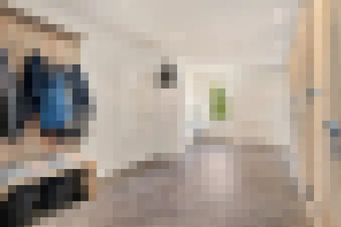 Huygenshage 4 Emmeloord thumbnail 25