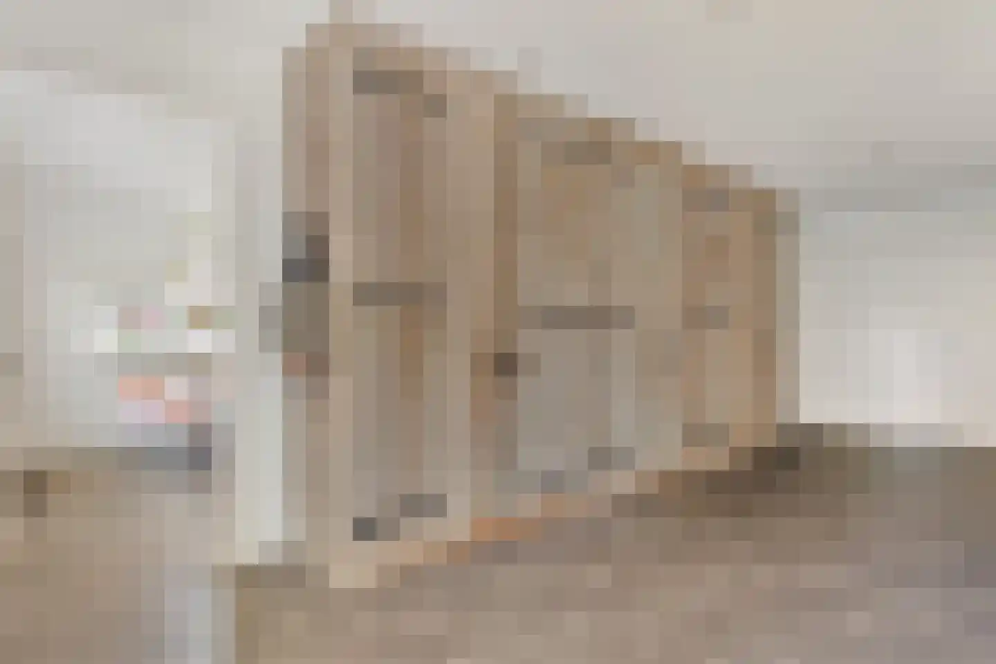 Huygenshage 4 Emmeloord thumbnail 26