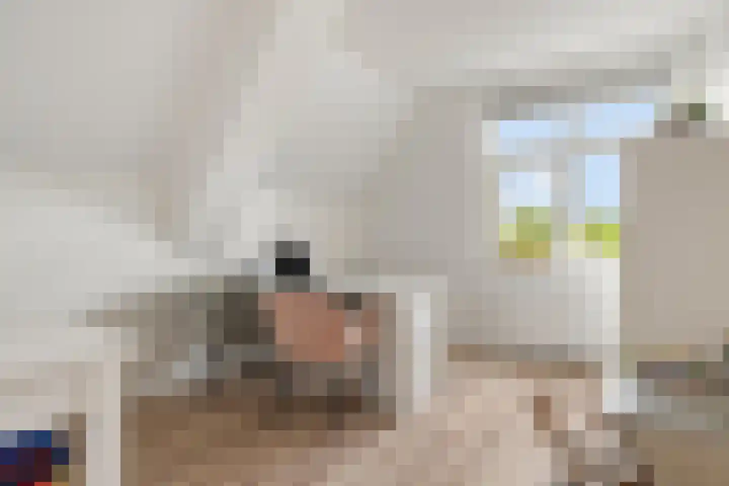 Huygenshage 4 Emmeloord thumbnail 31