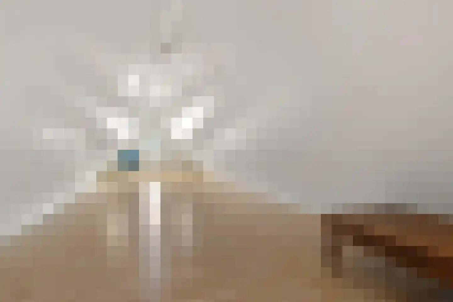 Huygenshage 4 Emmeloord thumbnail 46