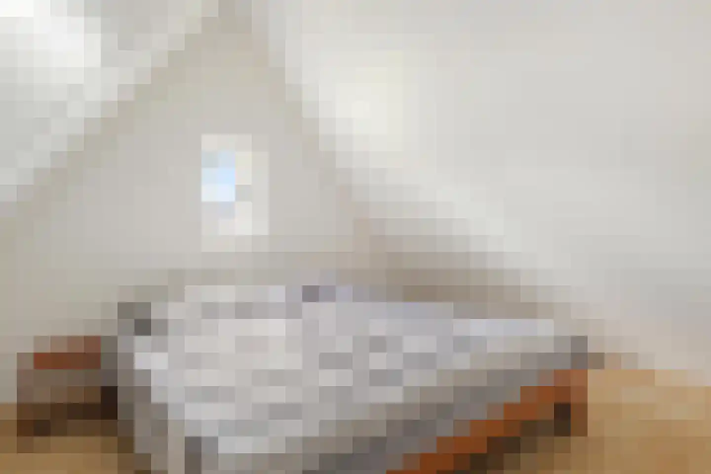 Huygenshage 4 Emmeloord thumbnail 47