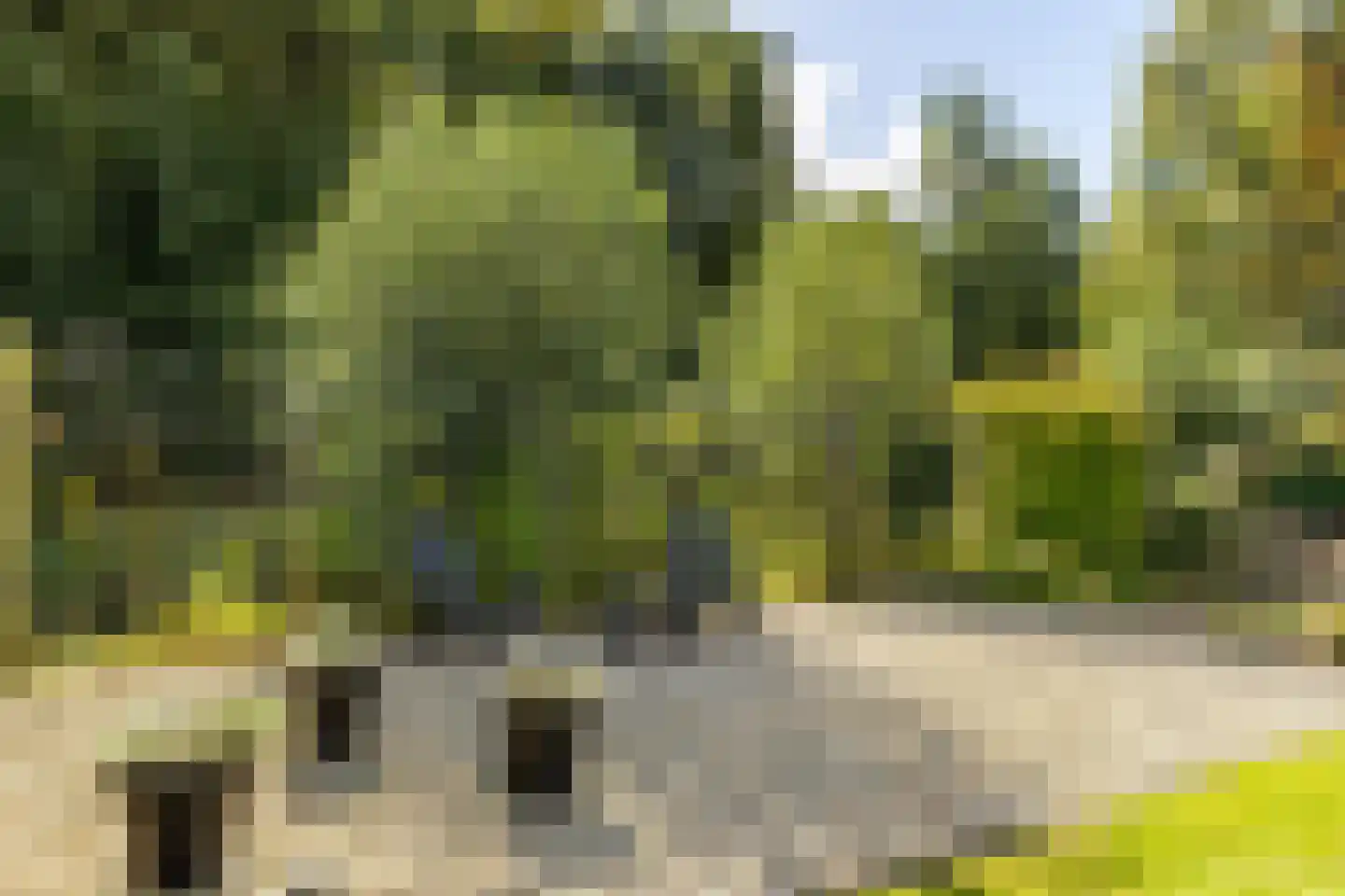 Huygenshage 4 Emmeloord thumbnail 54