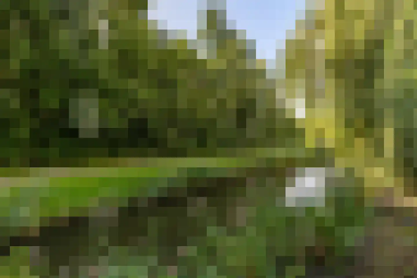 Huygenshage 4 Emmeloord thumbnail 61