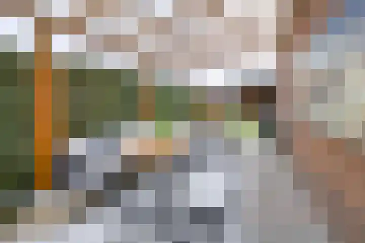 Huygenslaan 1 Eerbeek thumbnail 18