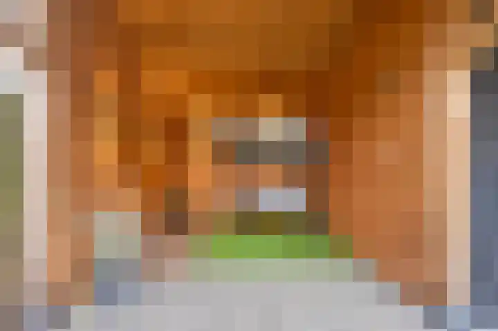 Huygenslaan 1 Eerbeek thumbnail 19