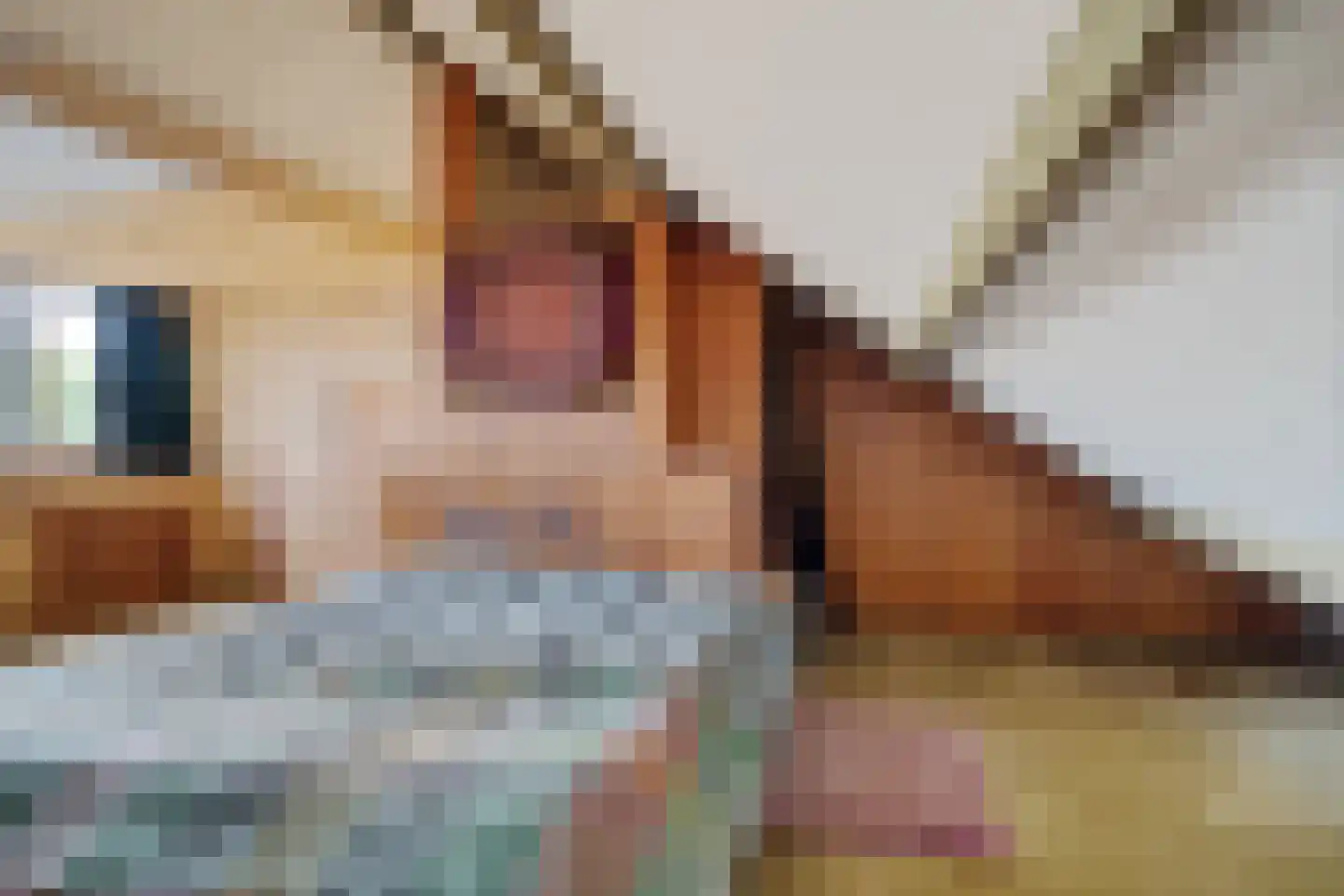 Huygenslaan 15 Woudenberg thumbnail 34