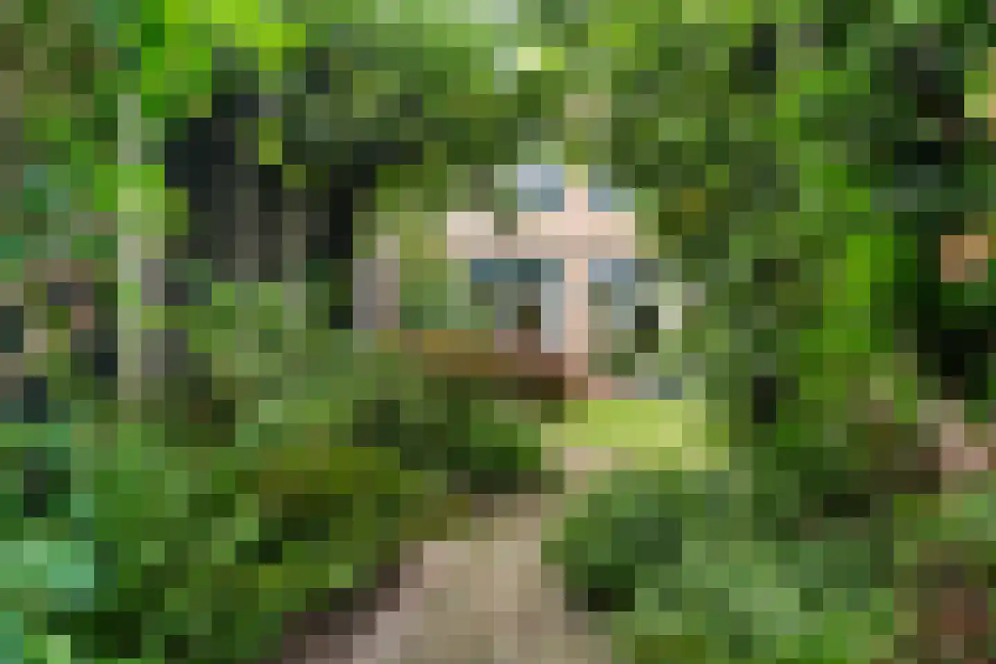 Huygenslaan 15 Woudenberg thumbnail 40