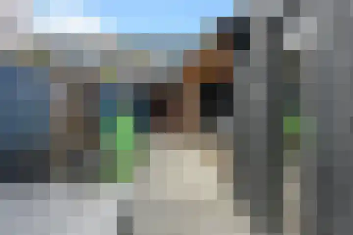 Huygenslaan 31 Eerbeek thumbnail 11