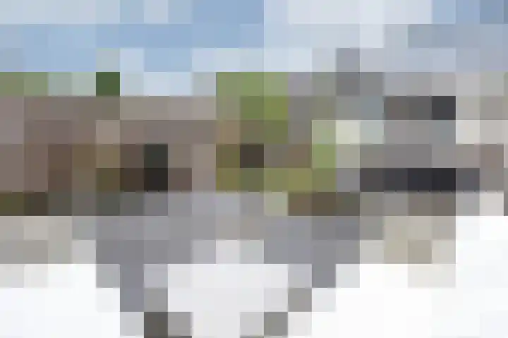 Huygenslaan 34 Zevenaar thumbnail 47