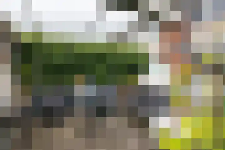 Huygenslaan 34 Zevenaar thumbnail 49