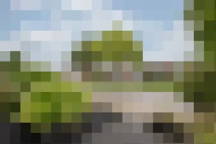 Huygenslaan 34 Zevenaar thumbnail 5