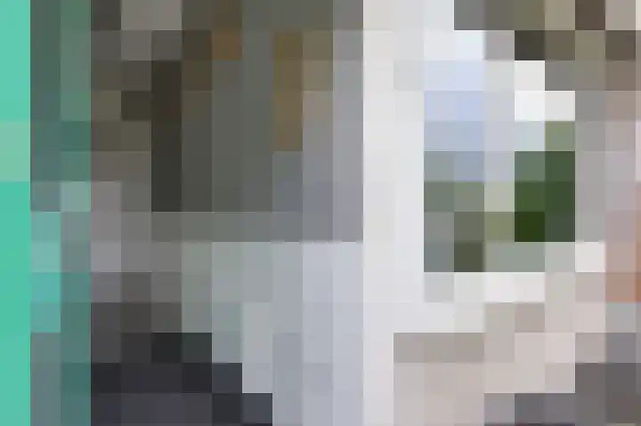Huygenslaan 34 Zevenaar thumbnail 6