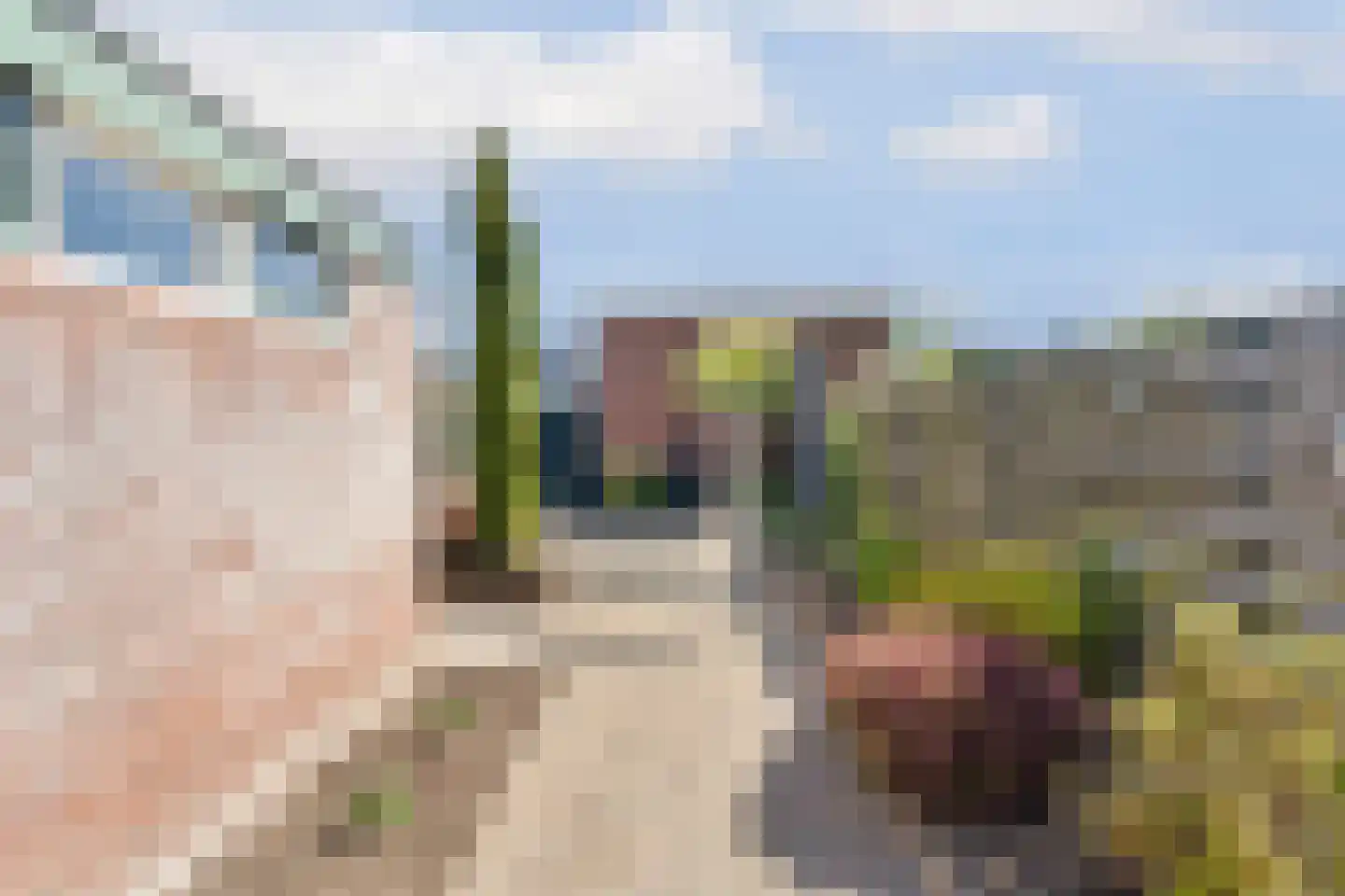 Huygenslaan 39 Zevenaar thumbnail 33