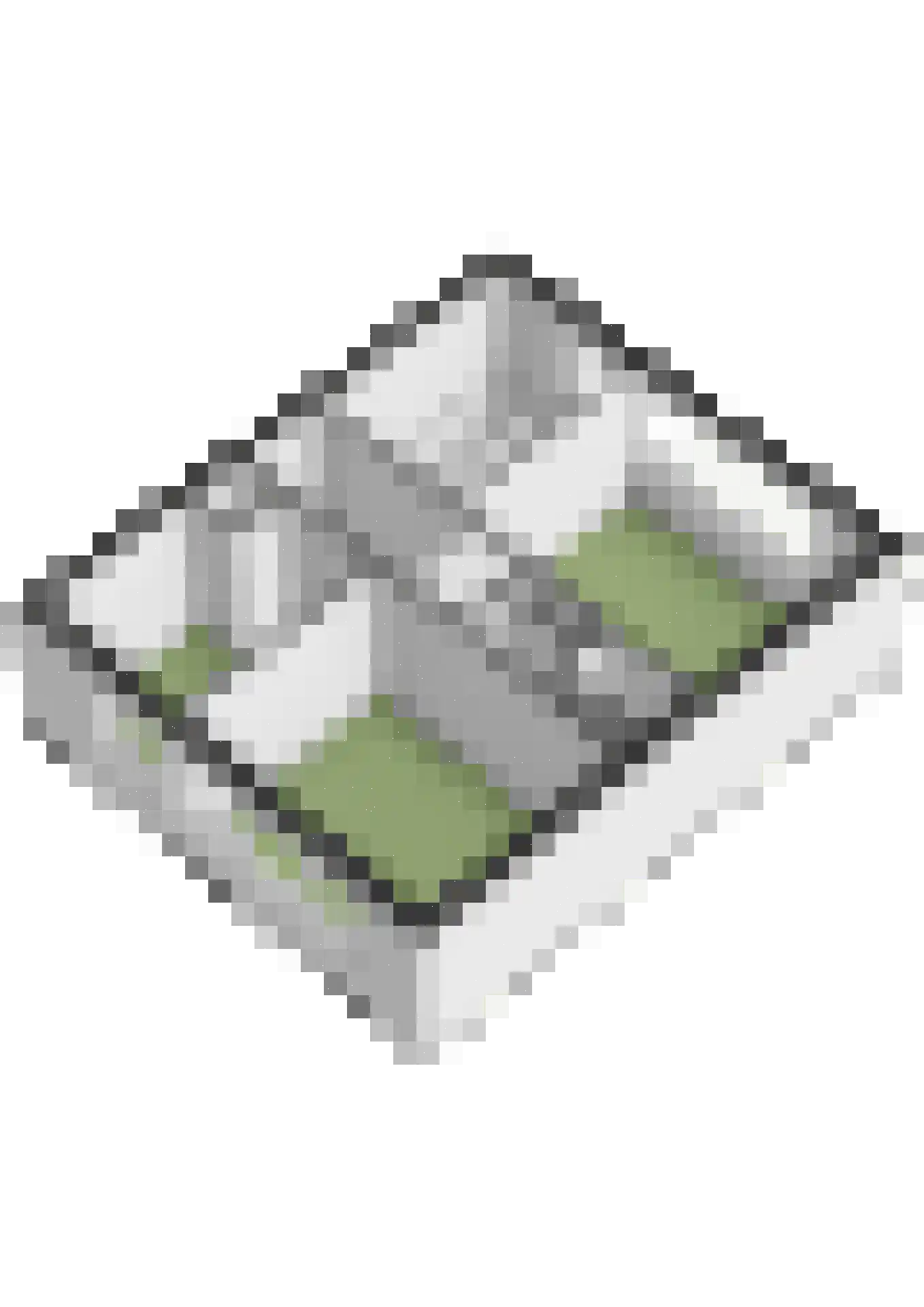 Huygenslaan 39 Zevenaar thumbnail 44
