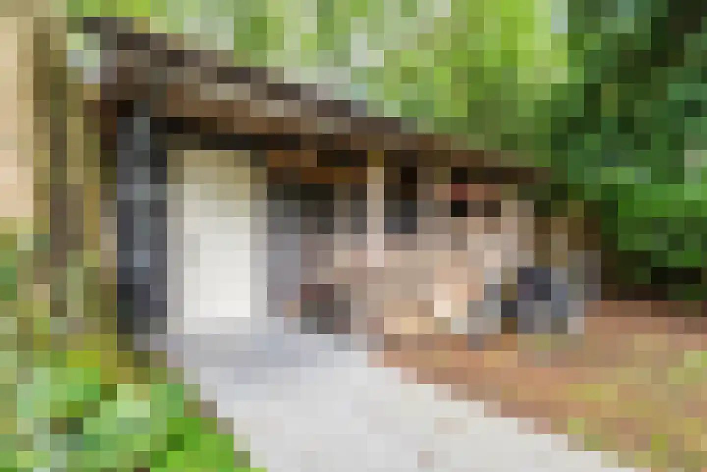 Huygenslaan 43 Ermelo thumbnail 64