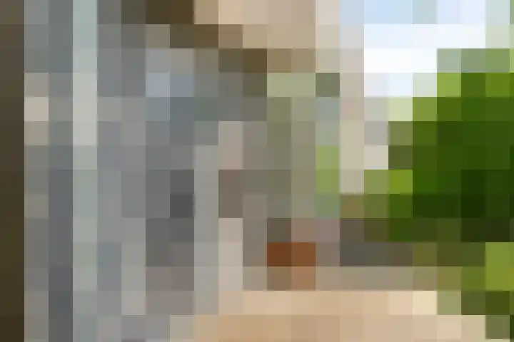 Huygenslaan 87 Etten-Leur thumbnail 11