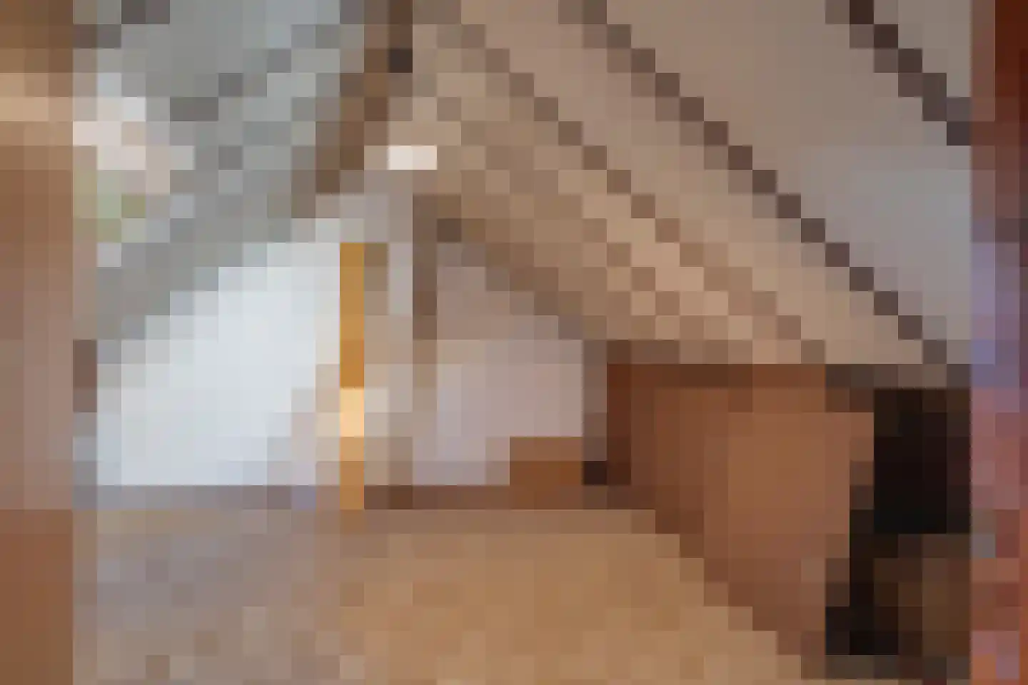 Huygensstraat 10 Vlierden thumbnail 33