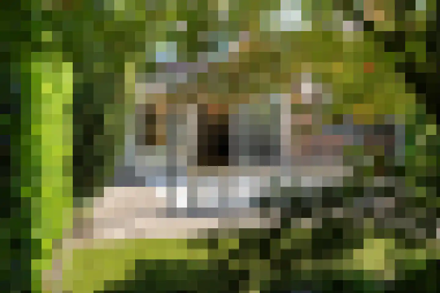 Huygensstraat 11 Rosmalen thumbnail 35