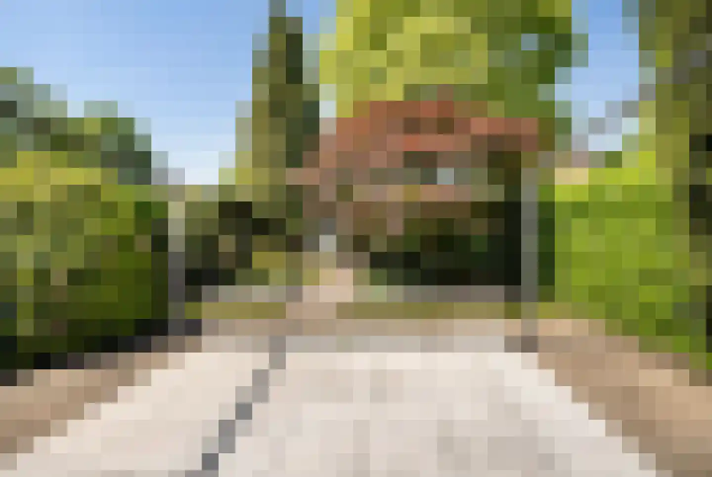 Huygensstraat 11 Rosmalen thumbnail 36