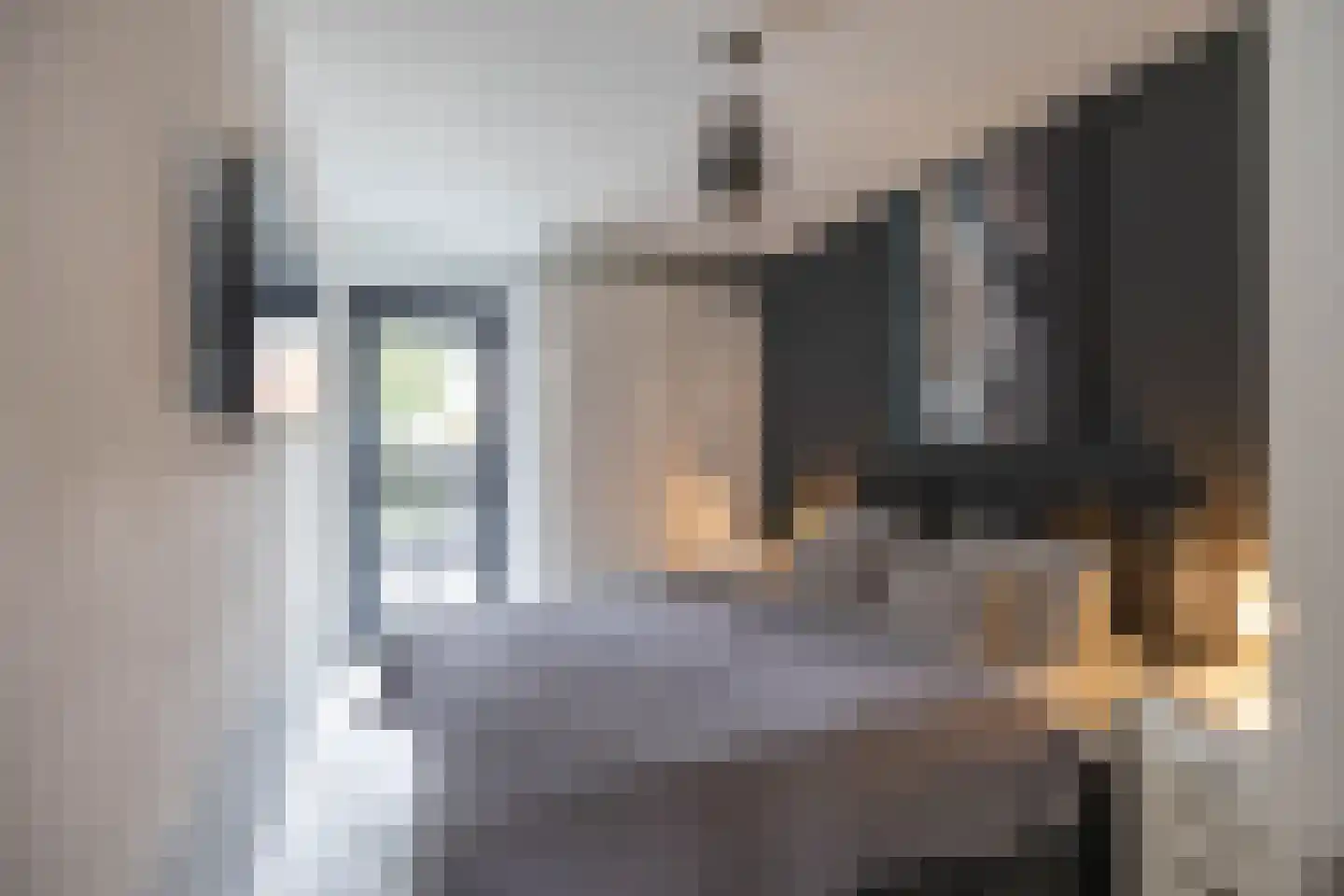 Huygensstraat 13 Groningen thumbnail 17