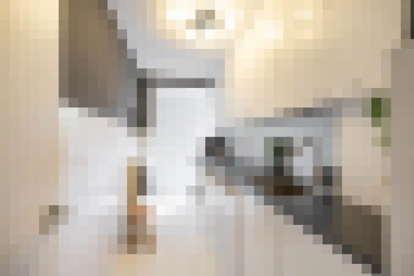 Huygensstraat 13 Groningen thumbnail 30