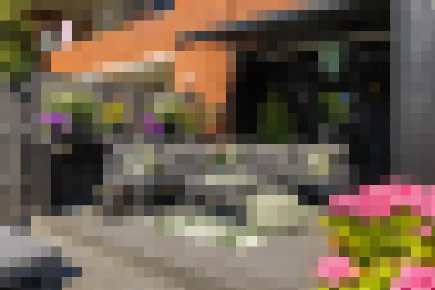Huygensstraat 13 Groningen thumbnail 31