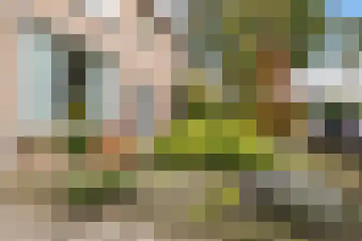 Huygensstraat 13 Putten thumbnail 51