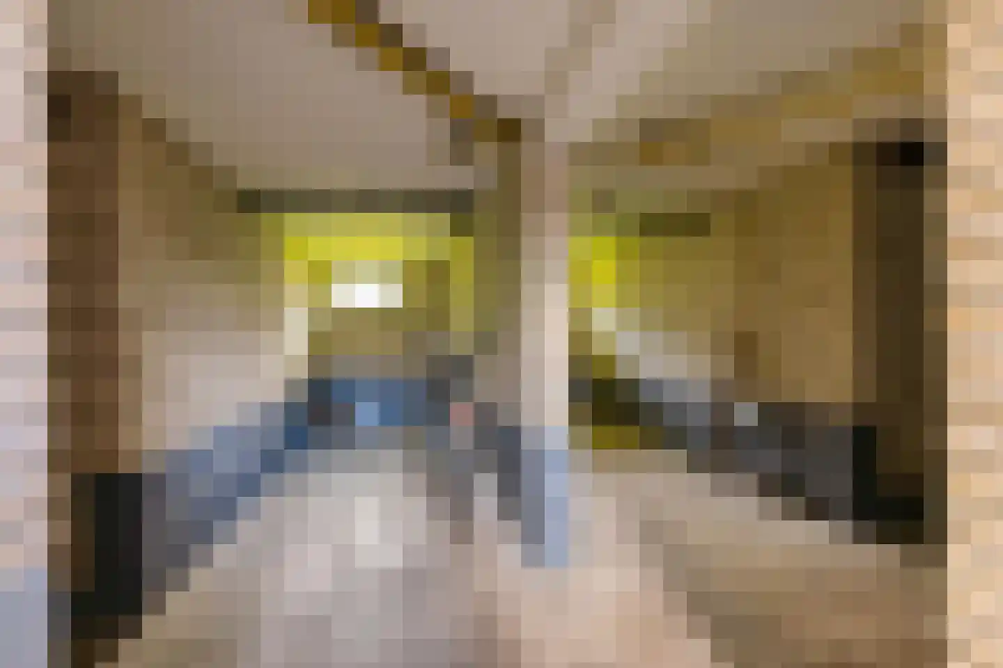 Huygensstraat 135 Groningen thumbnail 33