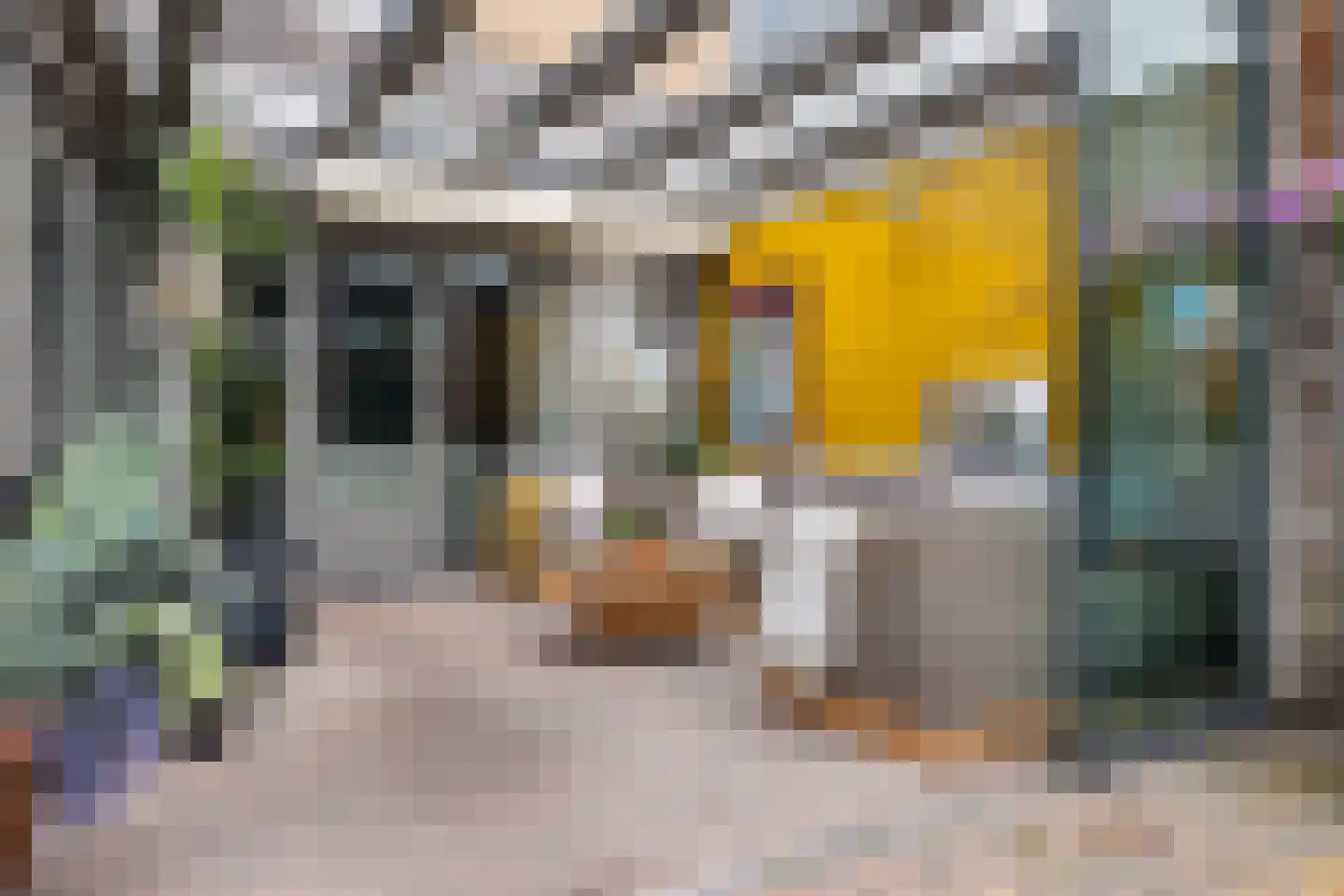 Huygensstraat 145 Boxtel thumbnail 49
